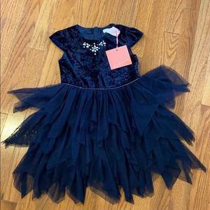 Navy Velvet dress with ballerina skirt